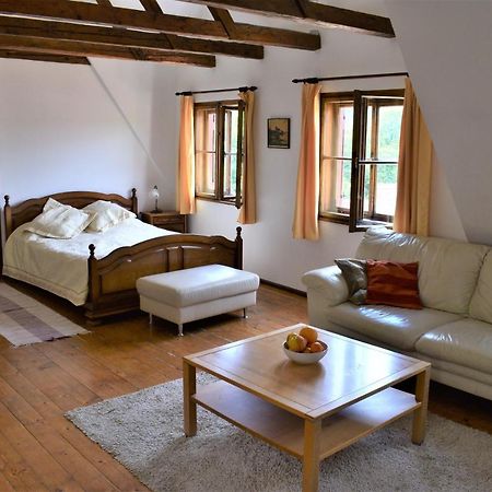 Casa Cojo Apartman Segesvár Kültér fotó