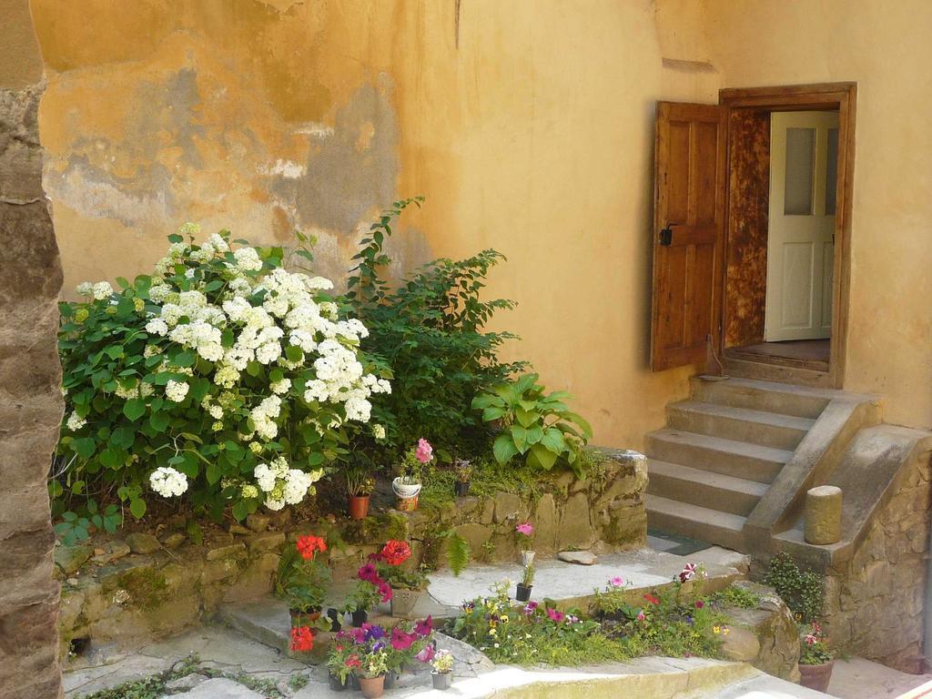 Casa Cojo Apartman Segesvár Szoba fotó