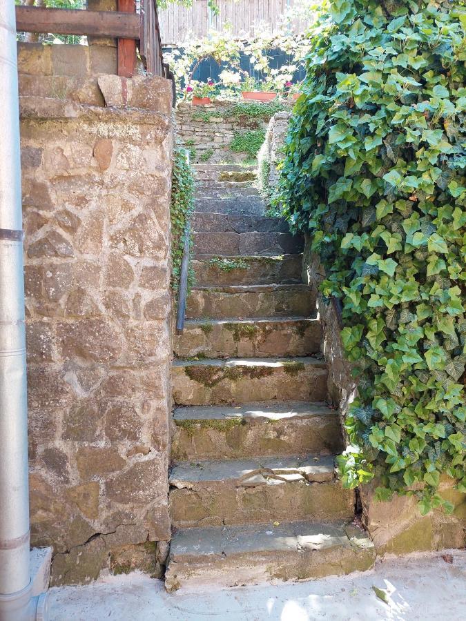 Casa Cojo Apartman Segesvár Kültér fotó