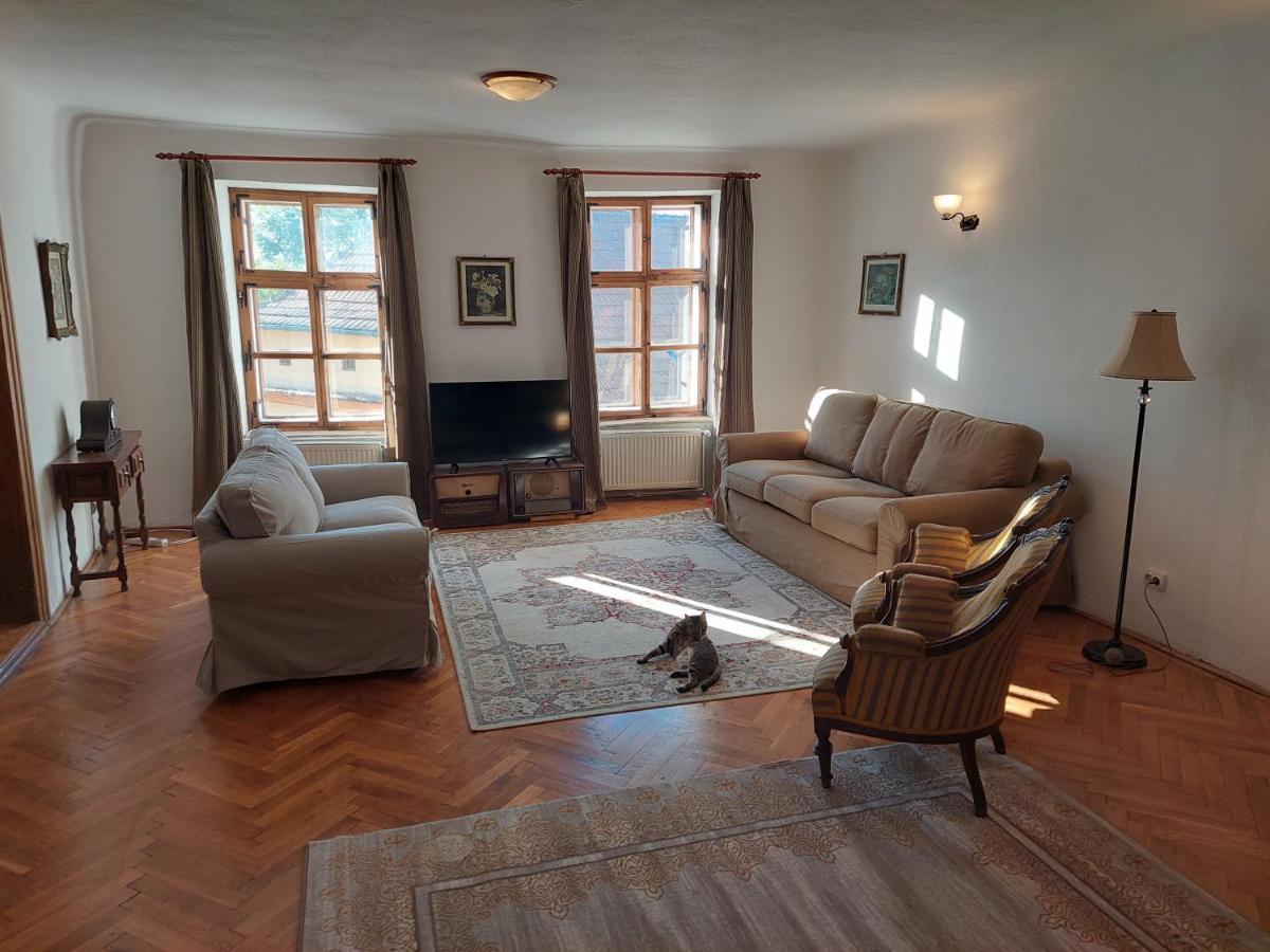 Casa Cojo Apartman Segesvár Kültér fotó