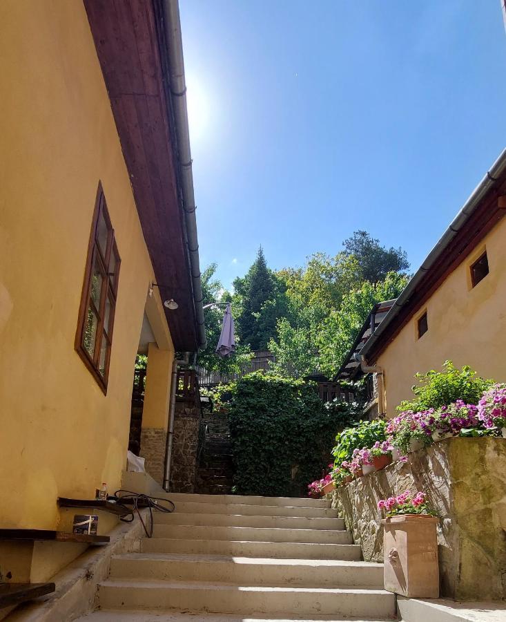 Casa Cojo Apartman Segesvár Kültér fotó